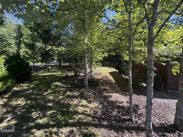 29 Scenic Woods Way, Sevierville, TN 37876