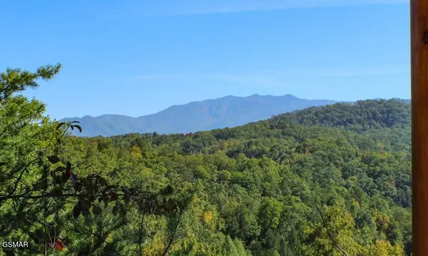 4326 Forest Ridge Way, Pigeon Forge, TN 37863