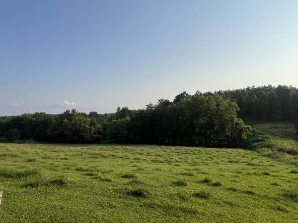 0 Wilkerson Road, Adolphus, KY 42120