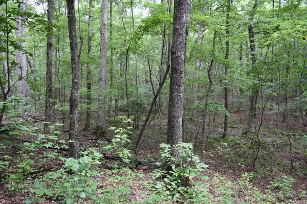0 Deep Woods Road, Sewanee, TN 37375