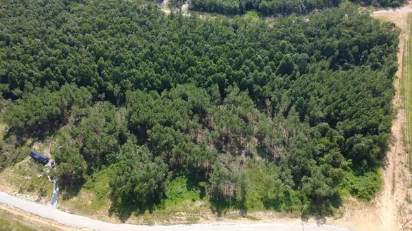 110 Hilltop Dr, Hohenwald, TN 38462