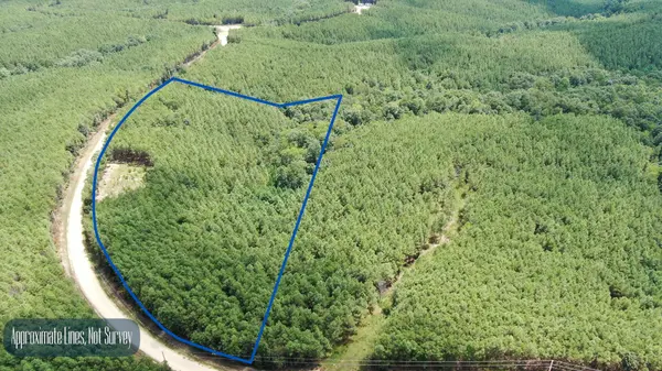 586 Seiber Ridge Rd, Hohenwald, TN 38462