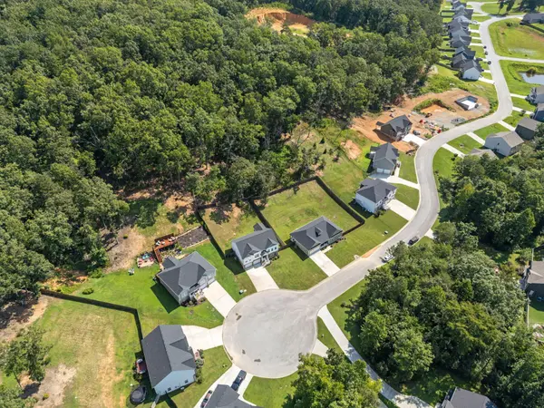 6517 Long Horn Street, Birchwood, TN 37308