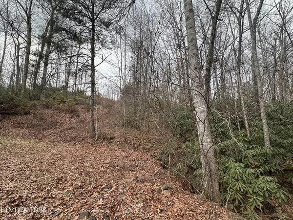382 S of Franklin Rd, Jamestown, TN 38556