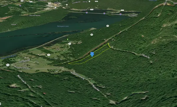185 Bluffs Rd S, South Pittsburg, TN 37380