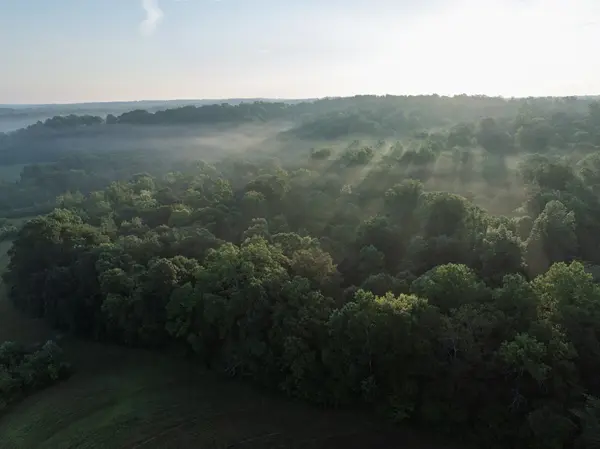 1125 Dawson Road, White Bluff, TN 37187