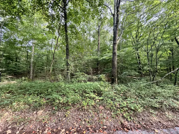 1 Tatum Lane #SW, Lyles, TN 37098