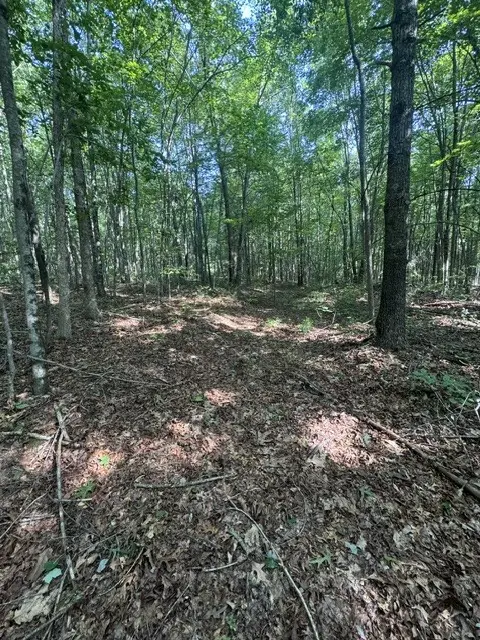 0 Parkstown Rd, Wilder, TN 38589