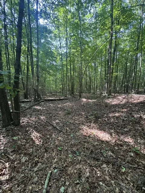 0 Parkstown Rd, Wilder, TN 38589