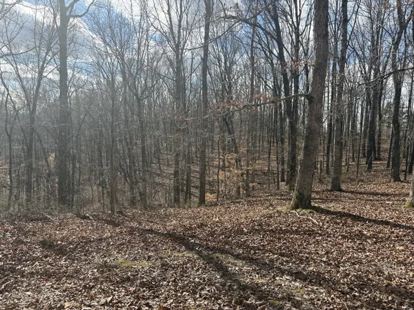 0 Daniel Rd, Waverly, TN 37185