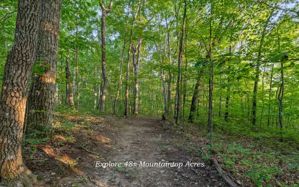 783 Leather Gap Road, Dunlap, TN 37327