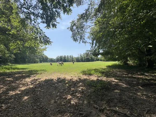 205 Smith Cemetary Ln, Waverly, TN 37185