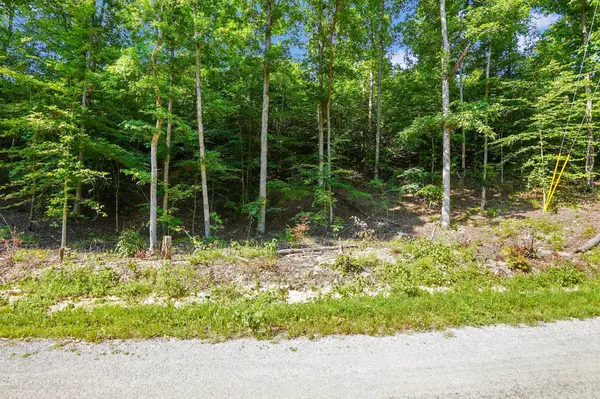 4 Cox Hollow Road, Dover, TN 37058