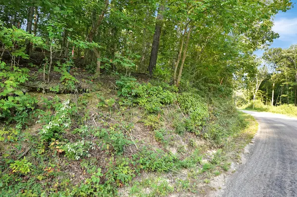 4 Cox Hollow Road, Dover, TN 37058