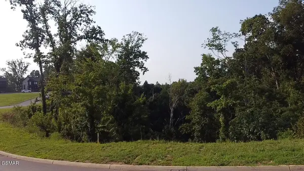 145 Reedmont Way, Sevierville, TN 37876