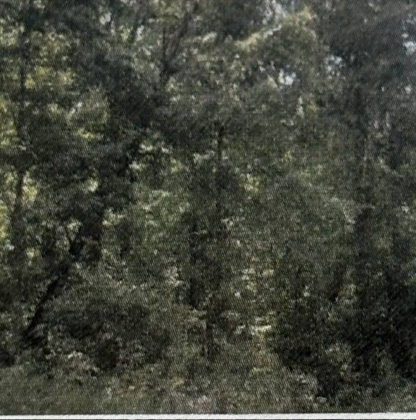 0 Shilow Rd, Beechgrove, TN 37018