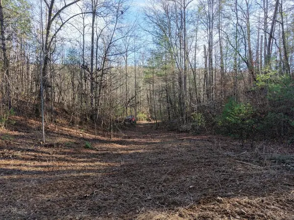 0 Bakers Creek Road, Old Fort, TN 37362