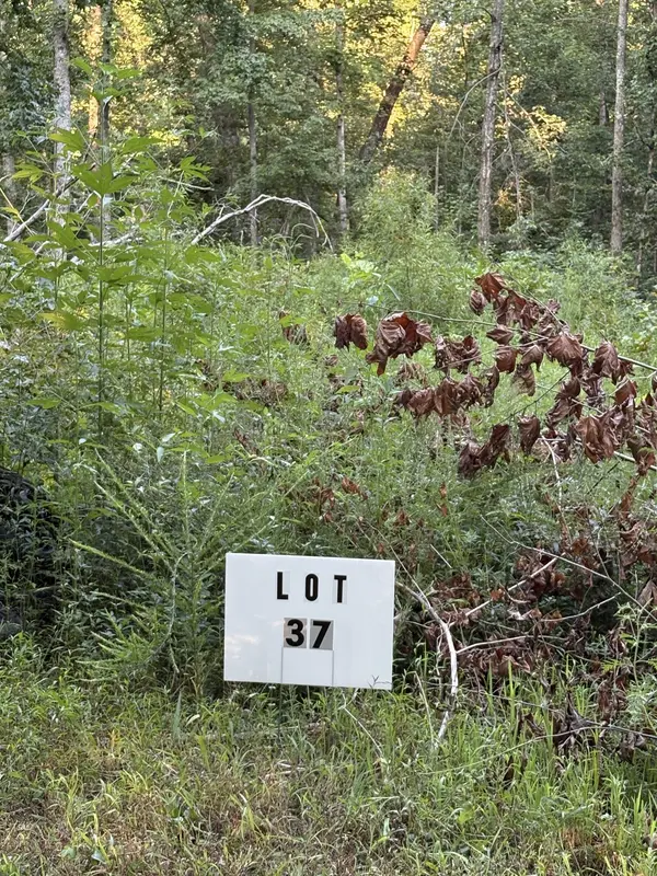 0 Shiloh Rd, Beechgrove, TN 37018