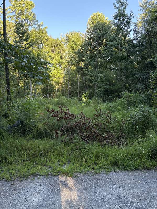 0 Shiloh Rd, Beechgrove, TN 37018