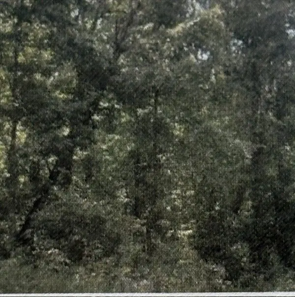 0 Shiloh Rd, Beechgrove, TN 37018