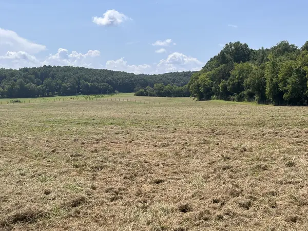160 County Road 968, Delano, TN 37325