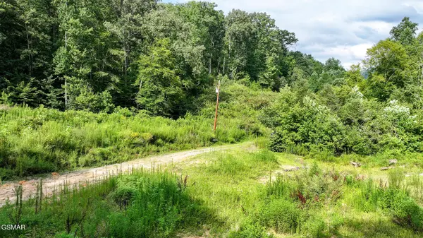 985 Tennessee 31, Mooresburg, TN 37811