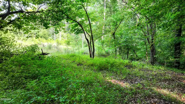 985 Tennessee 31, Mooresburg, TN 37811