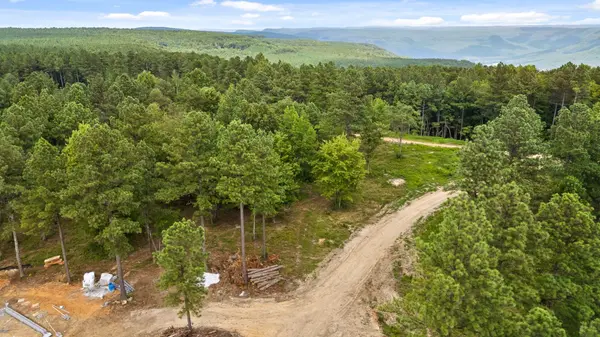 0 Treetop St, Guild, TN 37340