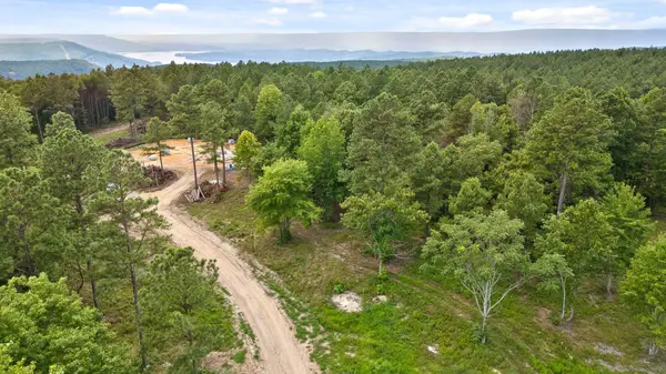 0 Treetop St, Guild, TN 37340