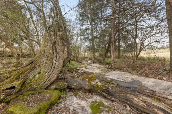 0 Cothran Rd, Columbia, TN 38401