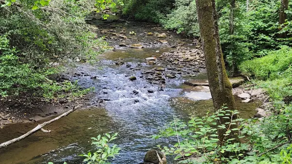 0 Tumbling Creek Road, Copperhill, TN 37317