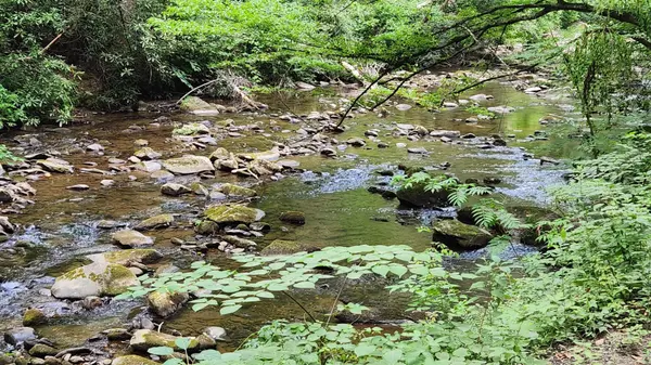 0 Tumbling Creek Road, Copperhill, TN 37317