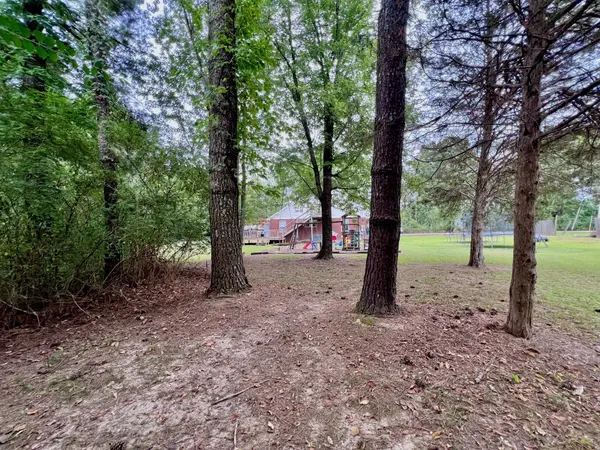 690 Monument Rd, Summertown, TN 38483