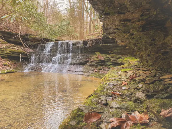 0 Cherokee Trail, Wartburg, TN 37887