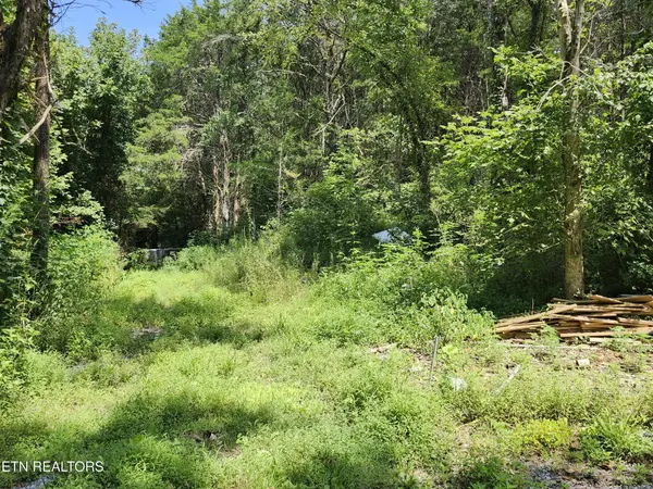 340 Swadis Drive, Sevierville, TN 37876