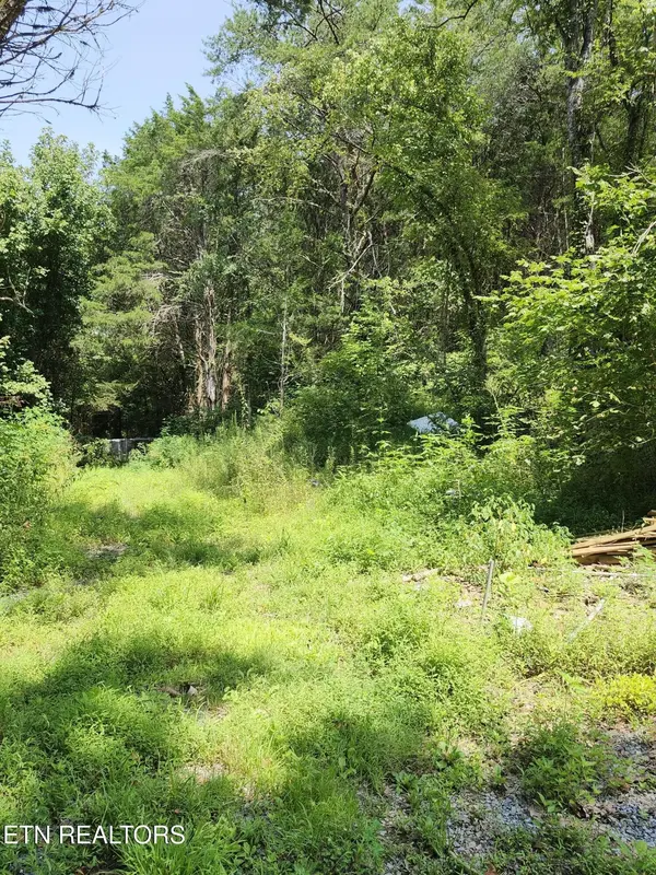 340 Swadis Drive, Sevierville, TN 37876