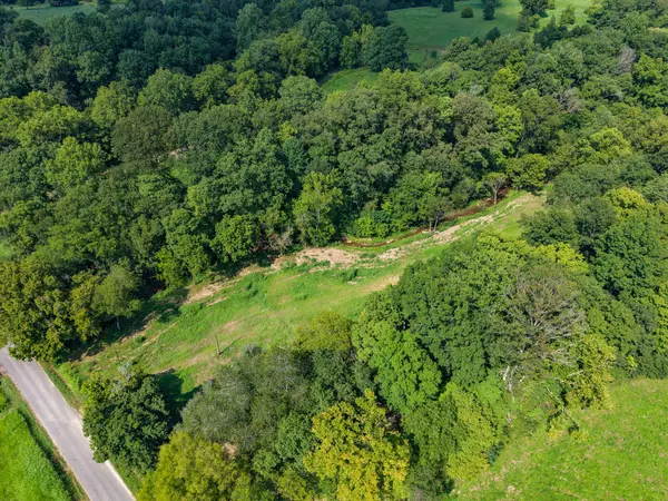 0 Shelter Branch, Charlotte, TN 37036