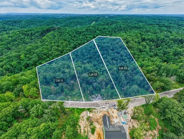 0 Falling Timber Drive, Pegram, TN 37143