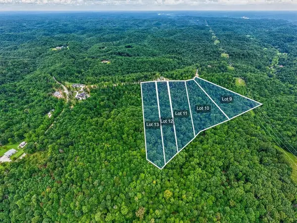 0 Falling Timber Drive, Pegram, TN 37143