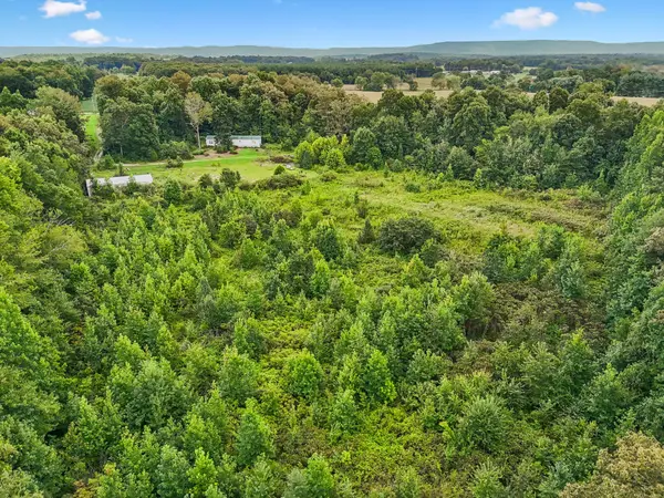 2010 Rock Rd, Morrison, TN 37357