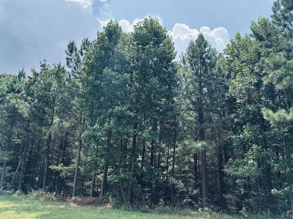 395 Volunteer Street, Jasper, TN 37347