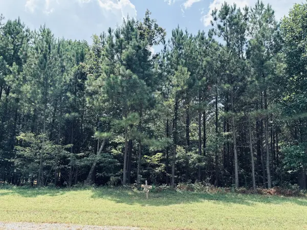395 Volunteer Street, Jasper, TN 37347
