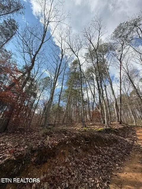291 Palow Rd, Benton, TN 37307