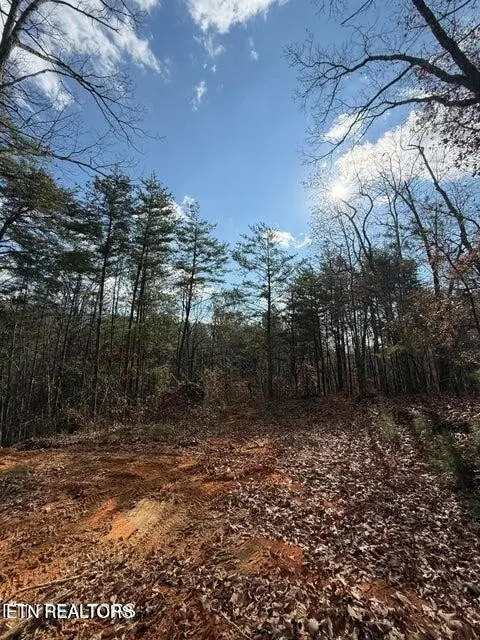 291 Palow Rd, Benton, TN 37307