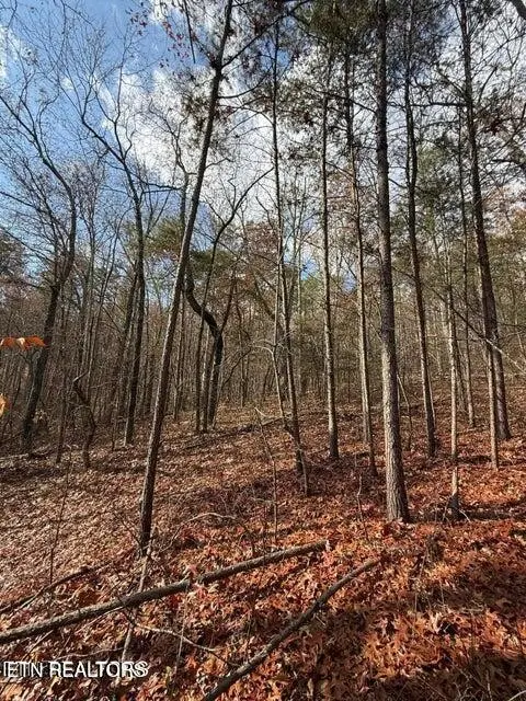 291 Palow Rd, Benton, TN 37307