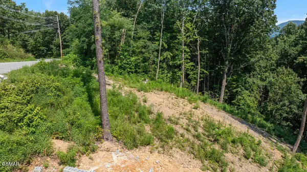 1315 Garrett Drive, Gatlinburg, TN 37738