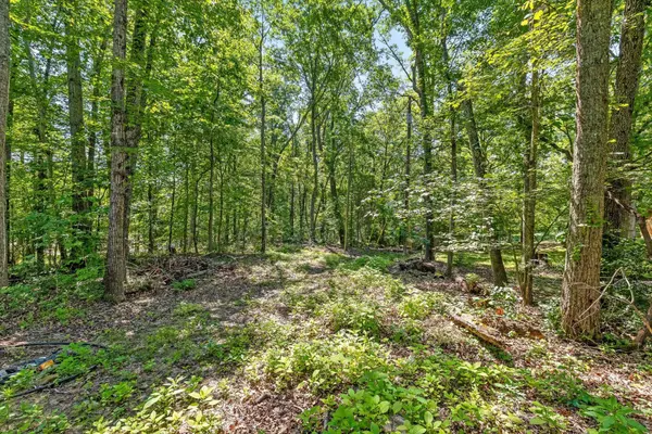 0 Maple Leaf Trail, Lookout Mountain, GA 30750