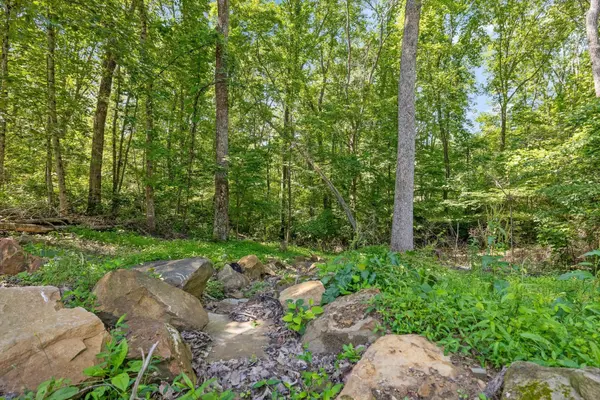 0 Maple Leaf Trail, Lookout Mountain, GA 30750