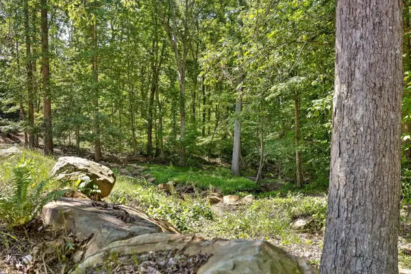 0 Maple Leaf Trail, Lookout Mountain, GA 30750