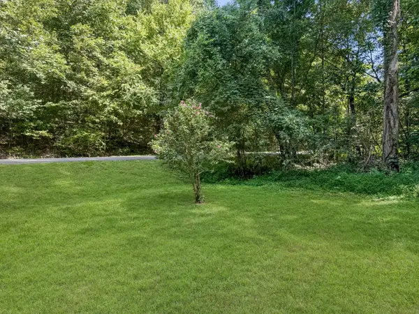 165 Lakeshore Dr, Dover, TN 37058